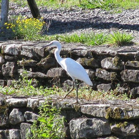 River Cottage Balledent Buitenkant foto