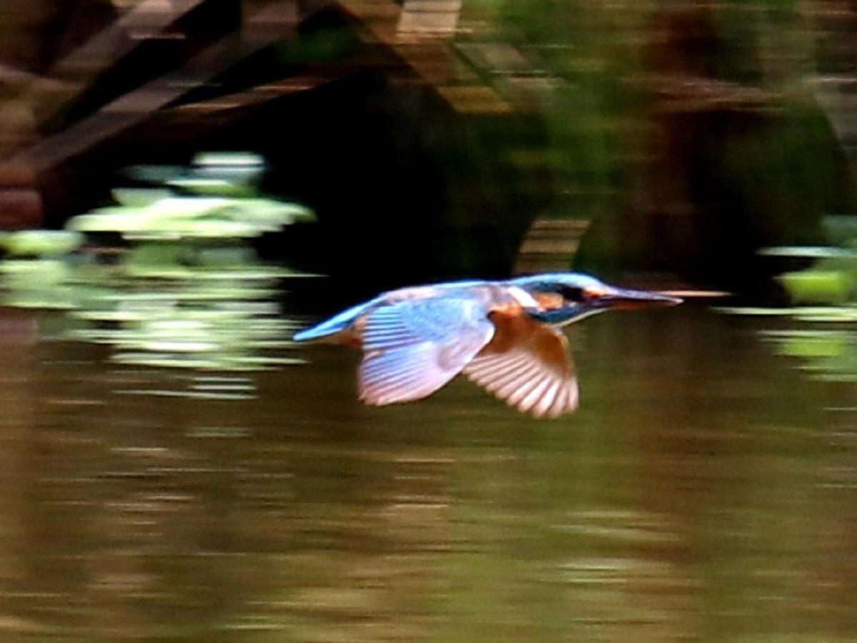 River Cottage Balledent Buitenkant foto
