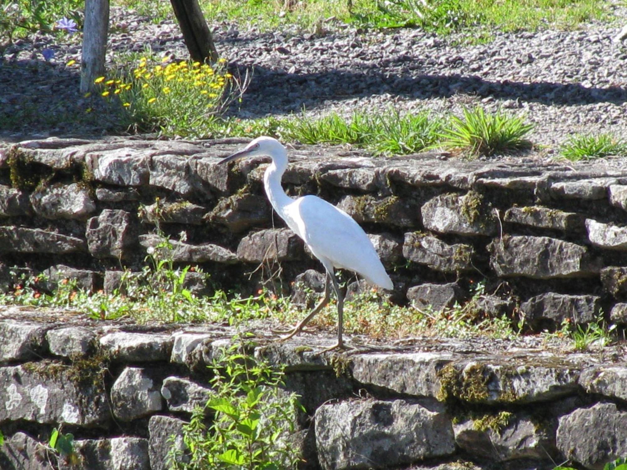 River Cottage Balledent Buitenkant foto